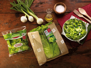 Lechuga del País Vasco