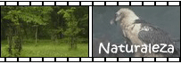 v&iacute;deo naturaleza