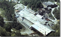 asparrena1