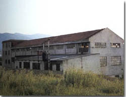 pando1