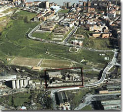 precebica1