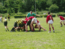 foto rugby
