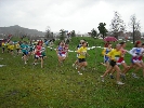 kross07