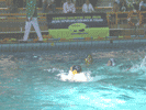 Fotograf&iacute;a Waterpolo