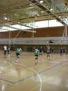 Joko Eskolarrak - voleibol