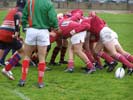Juegos escolares - rugby