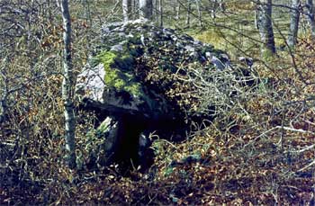 Dolmen de Urdenas
