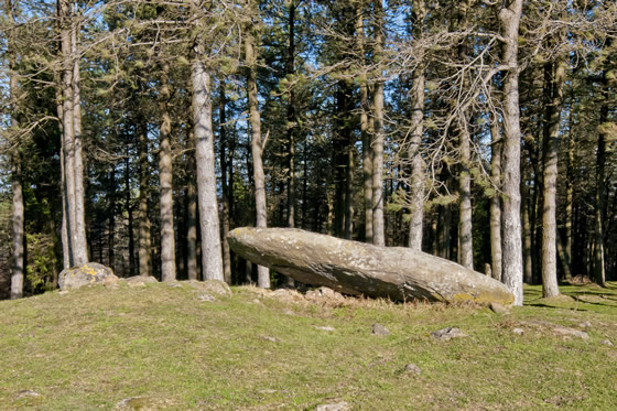 Vista de Arribiribilleta, Elosua-Plazentzia