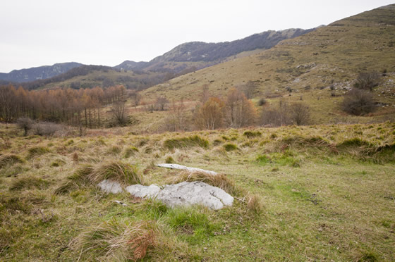 Zaingo Bizkarrako ikuspegia, Hernio