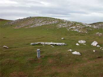 Menhir d'Igaratza III