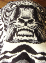 La saga de los sucesos. 2&ordf; parte