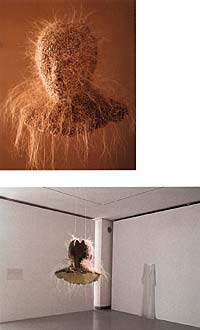 M&aacute;sacara de la seducci&oacute;n