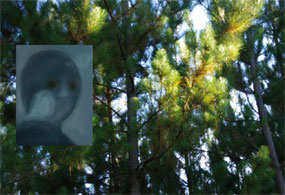 Serie Ellos, 2007 - Cobarde