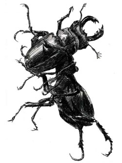 Sin ttulo, 2006 - Dibujo para el disco Panik Piknik de los Paniks. Rotulador sobre papel