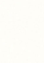 Blank