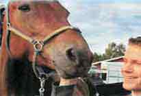 Kartela: Irabazleak eta galtzaileak 