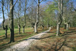 Calzada de Urkiola