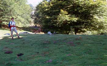 Dolmen de Arraztaranga&ntilde;a