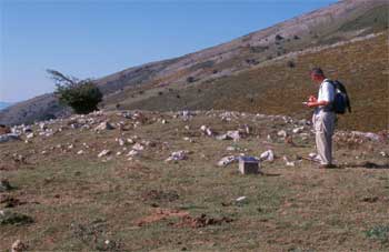 Dolmen de Uidui II