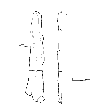 Menhir de Saltarri