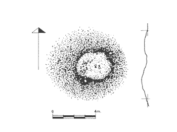 Ausokoi II trikuharria
