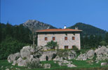 Barroetako dorrea