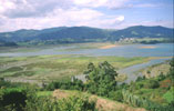 Urdaibai