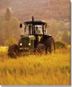 agricultura