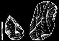 Flint stones found in the cave