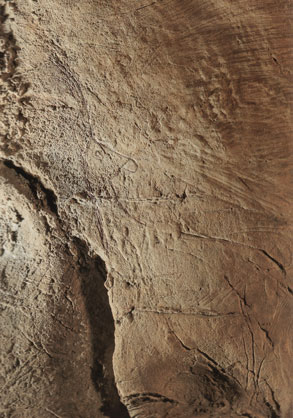 Ibex
