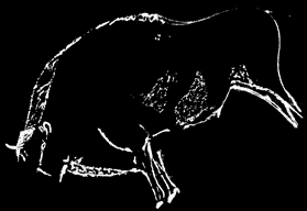 Drawing: bison