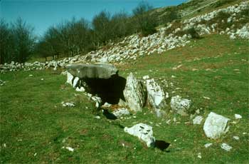 Dolmen of Jentillarri