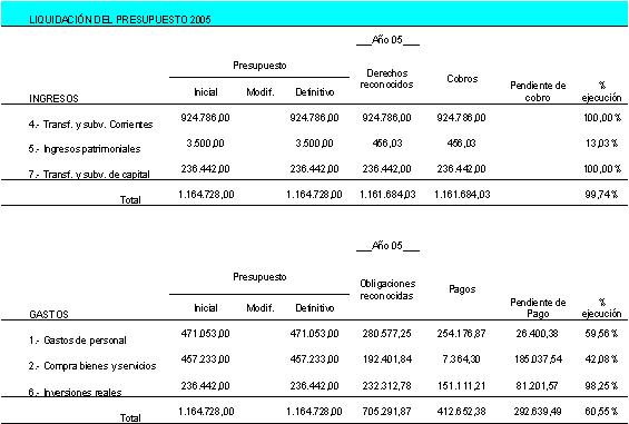 Ejecuci�n presupuestaria 2005