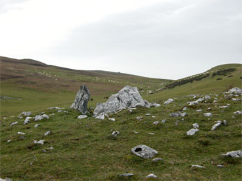 Dolmen d'Igaratza Sud