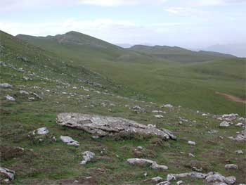 Menhir d'Irazustako Lepoa