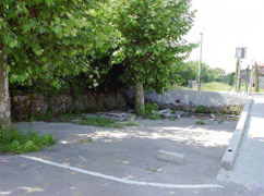 Hilerri zaharraren horma-hondarrak.