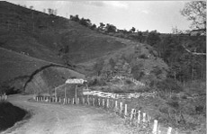 Iragorriko kokalekua