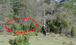 B hilobia puntu horretan egon daiteke, basoaren barruan.