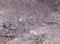 Berreskuratutako gorpuzkia.