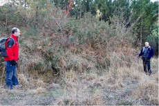 Ortoargazkia eta xehetasun-ikuspegia ( Lemoa )