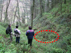 Hilobia dagoen tokia.