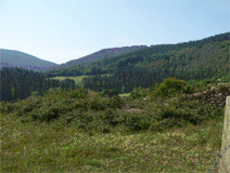 Jauregui baserriko lursaila; hortik gertu lurperatu zituzten soldaduen gorpuak.