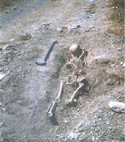 Gorpuzkiak �in situ