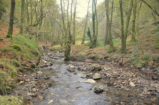 Aiako arriak, (Mikel Arrazola Argazkia)