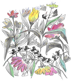 Ipuin-kontalariaren lapikoa - Ilustraci&oacute;n 1