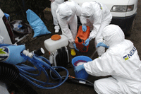 simulacro gripe aviar