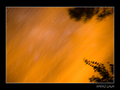 Aprovechamos la tranquilidad y escasez de contaminaci&oacute;n lum&iacute;nica que present&oacute; esta bonita noche de agosto en la Selva de Irat&iacute; (Navarra) para fotografiar parte de la estela que las estrellas dibujan en el cielo durante una larga exposici&oacute;n (40 min.).