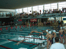 Foto Nataci&oacute;n