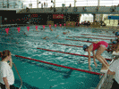 Foto Nataci&oacute;n