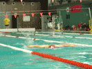 Foto Nataci&oacute;n